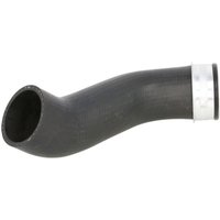 Ladeluftschlauch THERMOTEC DCW189TT Ladeluftschlauch THERMOTEC DCW189TT von Thermotec