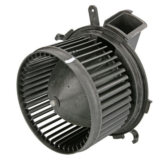 THERMOTEC Innenraumgebläse FIAT,PEUGEOT,CITROËN DDF001TT 6441Y1,6441Y2,77364090 Heizgebläse,Gebläsemotor,Lüftermotor THERMOTEC Innenraumgebläse FIAT,PEUGEOT,CITROËN DDF001TT 6441Y1,6441Y2,77364090 Heizgebläse,Gebläsemotor,Lüftermotor von THERMOTEC