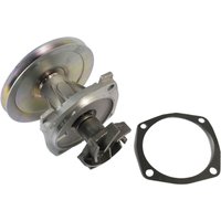 Wasserpumpe THERMOTEC D1F050TT Wasserpumpe THERMOTEC D1F050TT von Thermotec