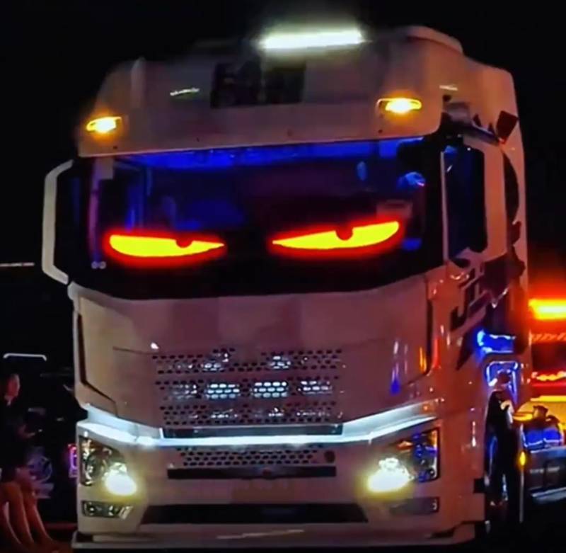 Devil Eyes Light for Cars, Teufelaugen Licht Dynamische Programmierbarer Personalisiert Augen Lichtschilder, mit APP-Steuerung und Fernbedienung Bluetooth USB 5V von THEYAWWE