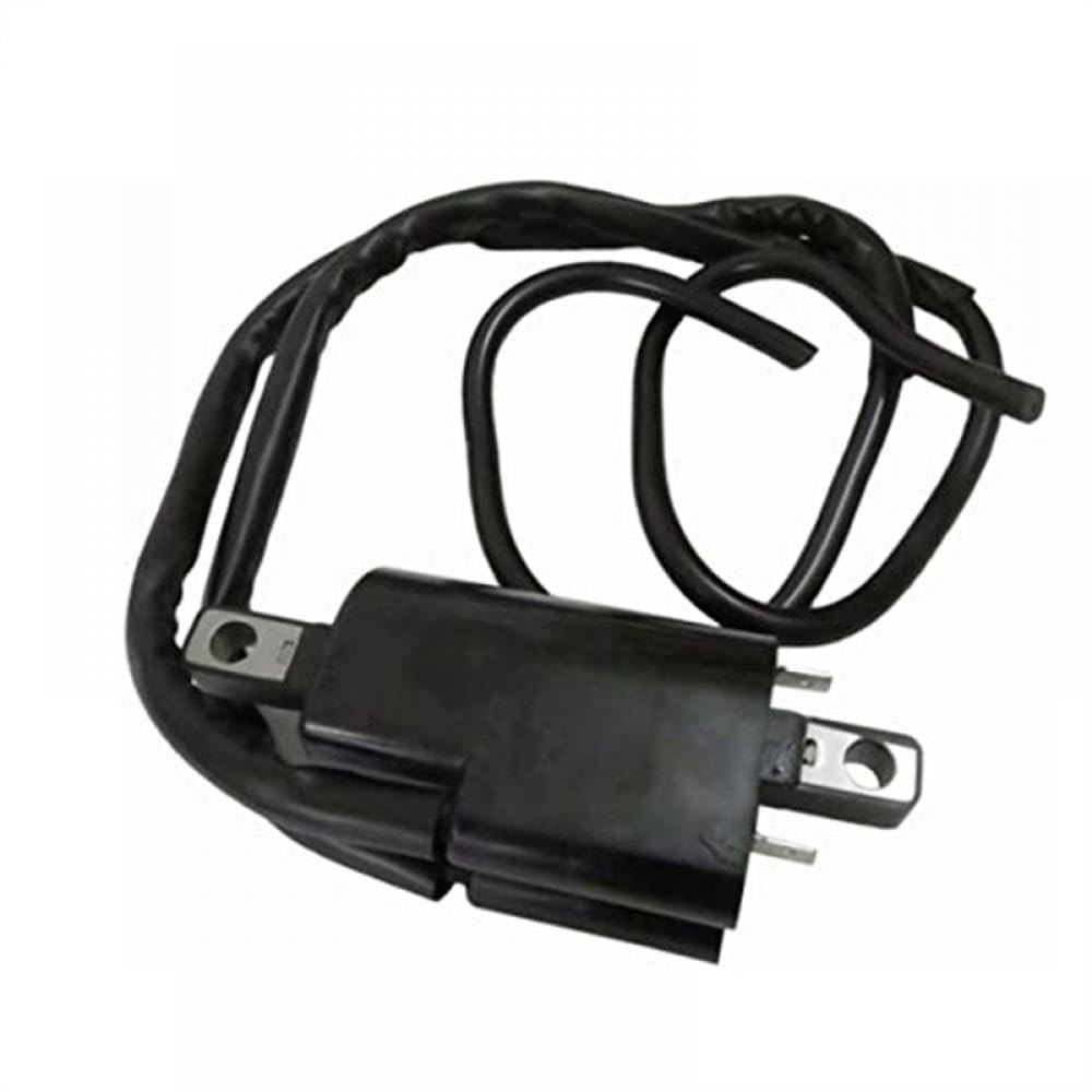 Zündspule kompatibel mit GS GSX SP SPX XP 787 800 278000383 2780001130 Zündspule kompatibel mit GS GSX SP SPX XP 787 800 278000383 2780001130 von THgfdZX