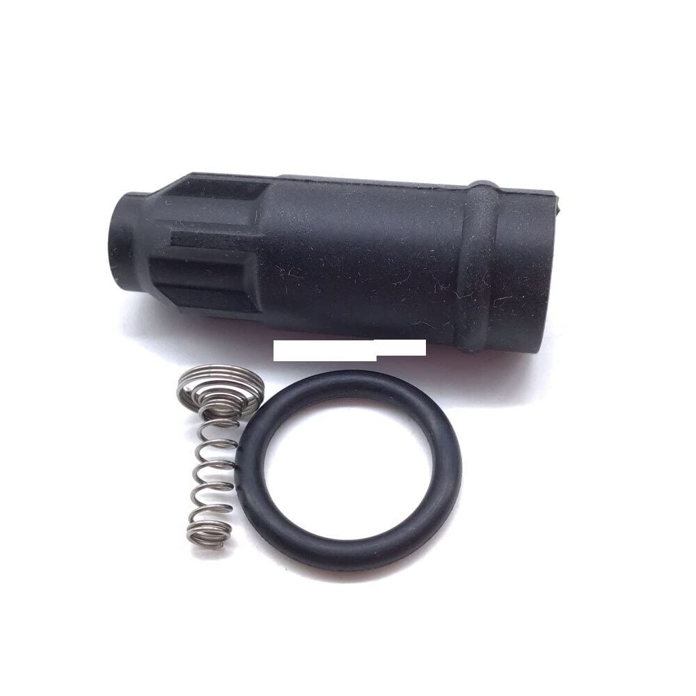 Zündspule kompatibel mit I II Avantime Clio Espace Kangoo 91159996 2244800QAA 0986221001 7700875000(1PC) von THgfdZX