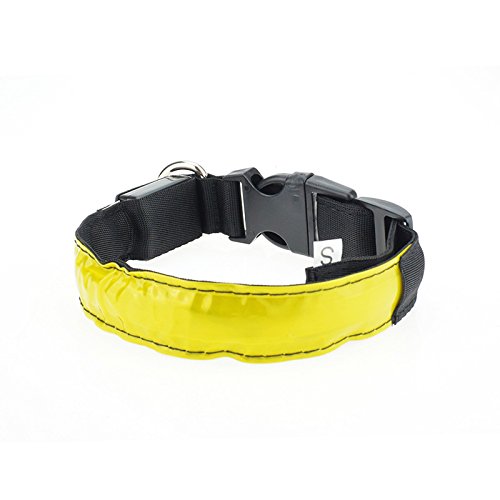 _ Helle Helle Helle Blitzlichter Tier Halsband Hundehalsband Gitter Hals -,S,Weiße _ Helle Helle Helle Blitzlichter Tier Halsband Hundehalsband Gitter Hals -,S,Weiße von TIANLIANG04