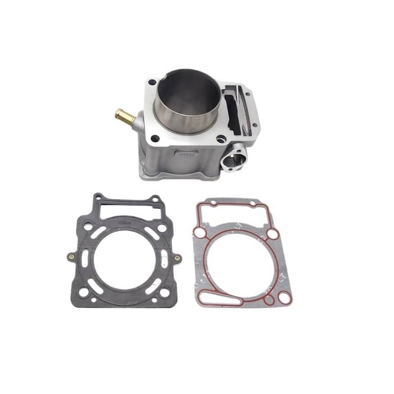 Motorrad 300cc for Teile ZS174MN-3 CBS300 Motor Zylinder Kit Zylinder Block Kolben Dichtung Ring Pin(Cylinder Gasket Set) von TMRRMGSG