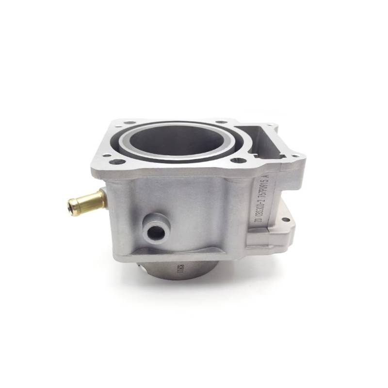 Motorrad Zylinder Kit CBS300 Motor Teile Luft Zylinder Block Kolben Ring Pin Nadellager Dichtung Kit for ZS174MN-3(Air Cylinder Block) von TMRRMGSG
