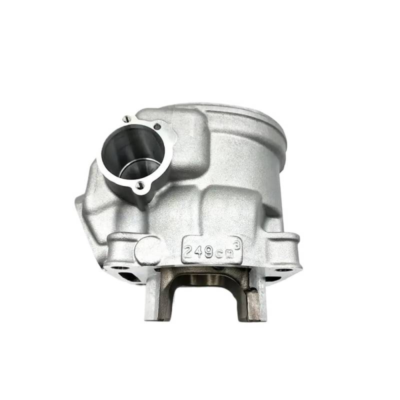 Zylinderkit Standard DT230 MT250 TSE250 66,8 mm Kolben 4TP-11311-01 Dichtung 4TP-11181-00 Kolben 4TP-11631-10-AO Ringe 4TP-1161000(Cylinder Block) von TMRRMGSG