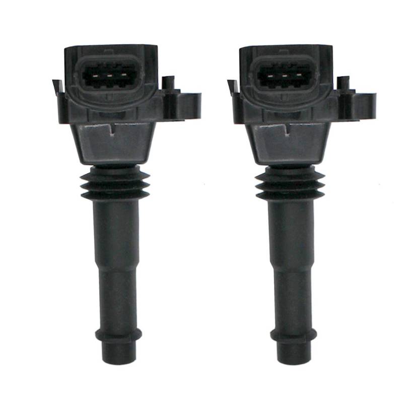 ETOOW 2er Pack Zündspule for Fitpolaris MSX110 MSX150 2Cylinder OEM # 1220703032 0221504021 von TOOWGM