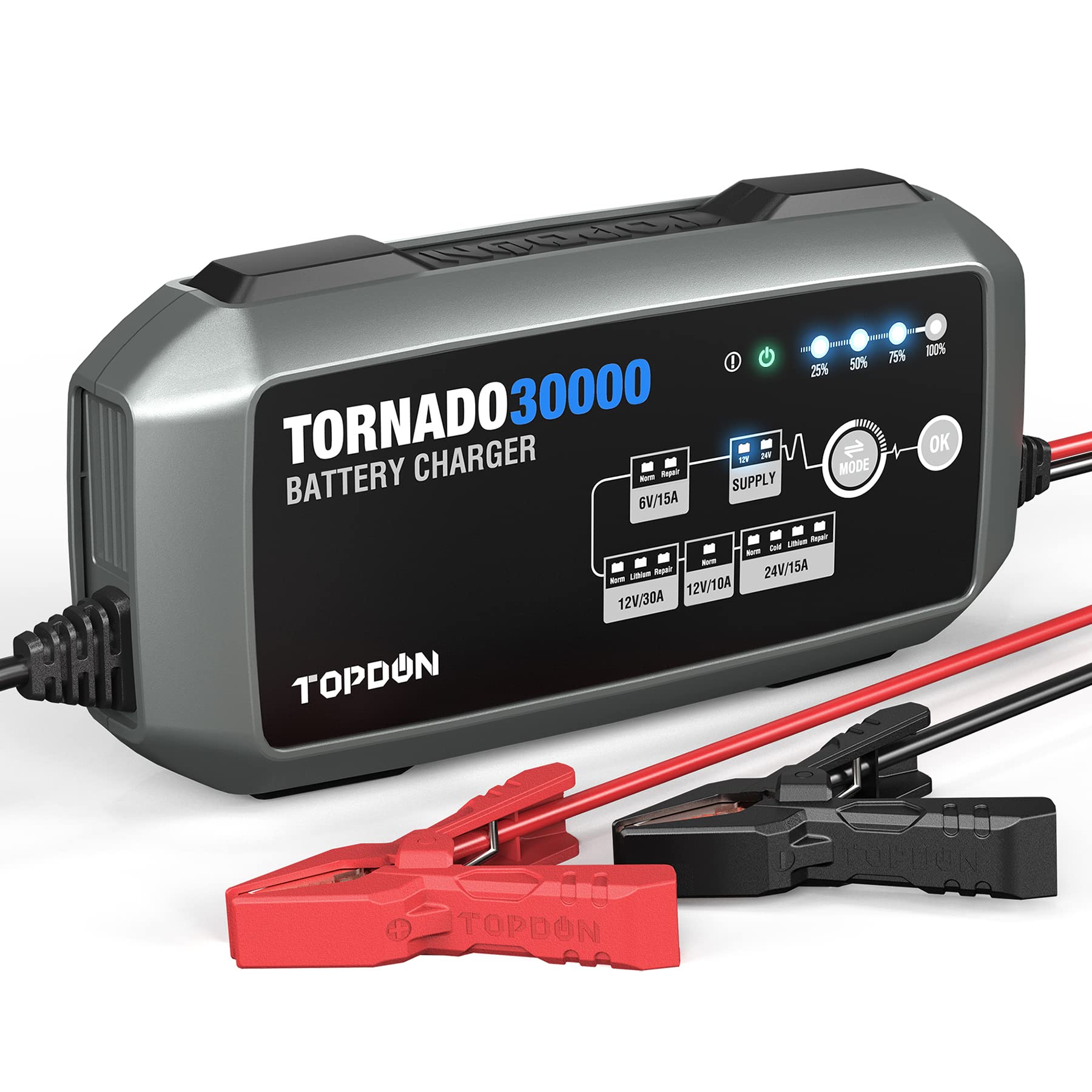 TOPDON TORNADO30000, 30A Ladegerät Autobatterie, 6V,12V,24V Professionelles Batterieladegerät mit 12 Lademodus, Erhaltungsladegerät für Auto, Motorrad, KFZ, LKW, PKW von TOPDON