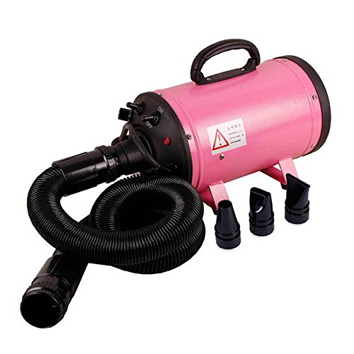 TOPQSC Neue Marke Billig Hundefutter Trockner Günstige Haustier Föhn Gebläse 220 v Rosa Blaue Farbe TOPQSC Neue Marke Billig Hundefutter Trockner Günstige Haustier Föhn Gebläse 220 v Rosa Blaue Farbe von TOPQSC