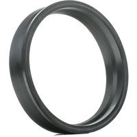 TOPRAN Dichtung, Tankgeber 116 127 VW,AUDI,SKODA,Golf IV Schrägheck (1J1),POLO (9N_),TOURAN (1T1, 1T2) TOPRAN Dichtung, Tankgeber 116 127 VW,AUDI,SKODA,Golf IV Schrägheck (1J1),POLO (9N_),TOURAN (1T1, 1T2) von TOPRAN