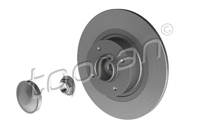 Topran 1x Bremsscheibe hinten + Radlager+ABS-Ring [Hersteller-Nr. 700643] für Renault von TOPRAN