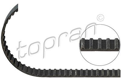 Topran Zahnriemen [Hersteller-Nr. 101525] für Audi, VW von TOPRAN