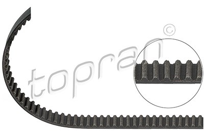 Topran Zahnriemen [Hersteller-Nr. 108012] für Audi, Seat, Skoda, VW von TOPRAN