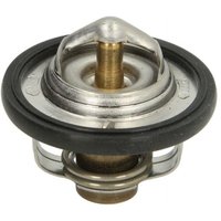 Thermostat TOURMAX TMT-301 von Tourmax