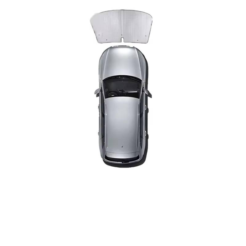 Auto Sonnenschutz Für Leapmotor C11 Zubehör 2021~2025 Sonnenschutz Fenster Blind Sonnenblenden Sonnenschutz Schützen Privatsphäre Anti-Uv(Front Windshield) von TPSOBRU