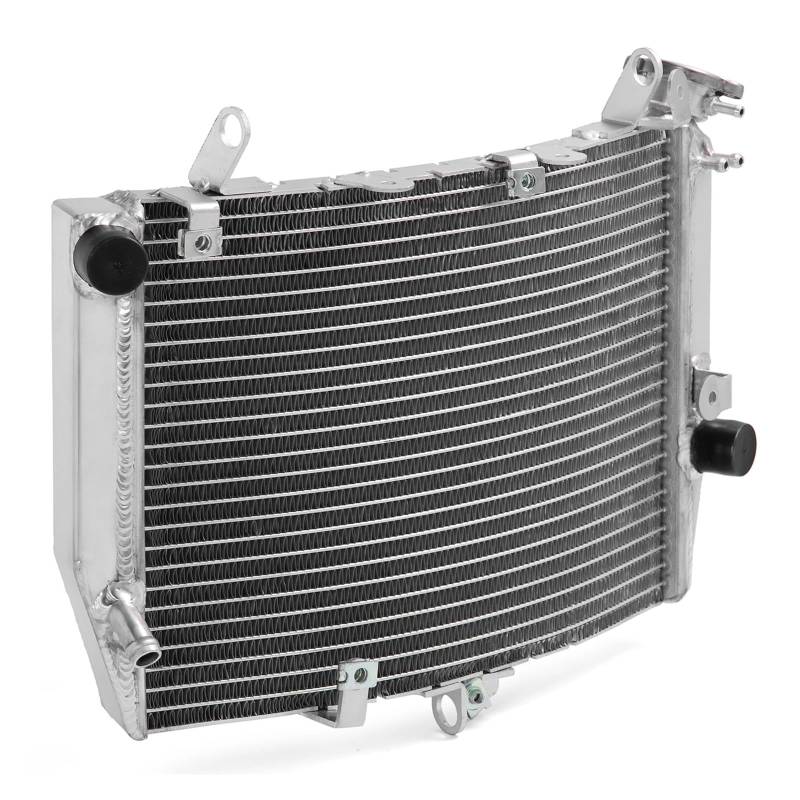 For YZF R6 03 04 05 06 07 08 09 10 11 12 13 14 15 16 17 18 19 20 R6S 2006-2009 Kühler Motorkühlung Wasserkühler(R6S 06 07 08 09) von TRELVEX
