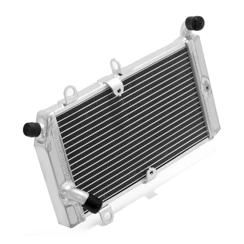 Motor Kühler Kühlung for CMX 300 20 21 22 23 Silver Wing FJS 400 09 10 11 12 13 14 15 16 FJS 600 01-16 Wasser Kühler(FJS600 01-16) von TRELVEX