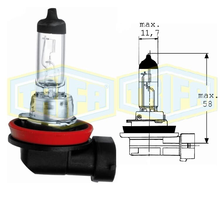Gl?hbirne 12V H8 Halogen Gl?hbirne 12V H8 Halogen von TRIFA LAMPS