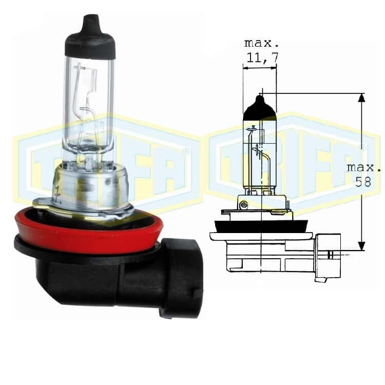 Gl?hbirne 12V H8 Halogen von TRIFA LAMPS