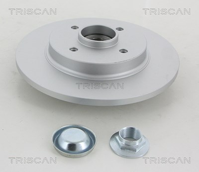 Triscan 2x Bremsscheibe Hinten Voll mit Radlager für Citroën, Ds, Peugeot von TRISCAN