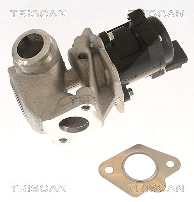 Triscan AGR-Ventil [Hersteller-Nr. 881310018] für Ford, Mazda, Mini, Volvo von TRISCAN