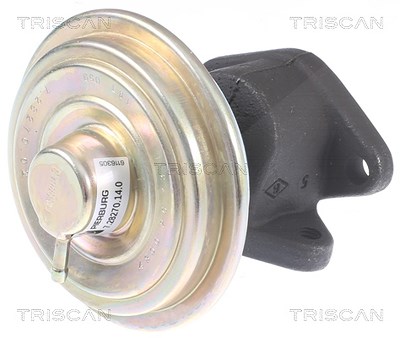 Triscan AGR-Ventil [Hersteller-Nr. 881310033] für Chrysler von TRISCAN