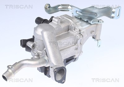 Triscan AGR-Ventil [Hersteller-Nr. 881310106] für Citroën, Peugeot von TRISCAN