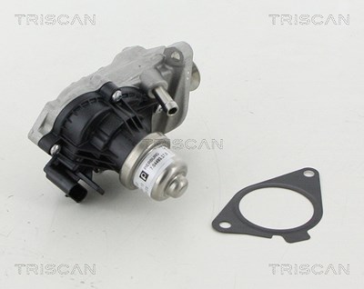 Triscan AGR-Ventil [Hersteller-Nr. 881311007] für BMW, Mini von TRISCAN