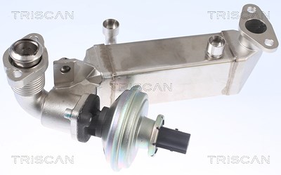 Triscan AGR-Ventil [Hersteller-Nr. 881311009] für BMW von TRISCAN