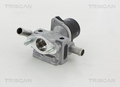 Triscan AGR-Ventil [Hersteller-Nr. 881313052] von TRISCAN