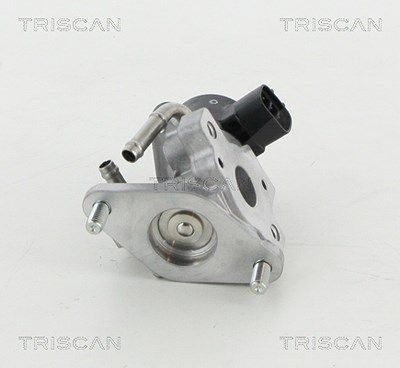 Triscan AGR-Ventil [Hersteller-Nr. 881313057] für Lexus von TRISCAN