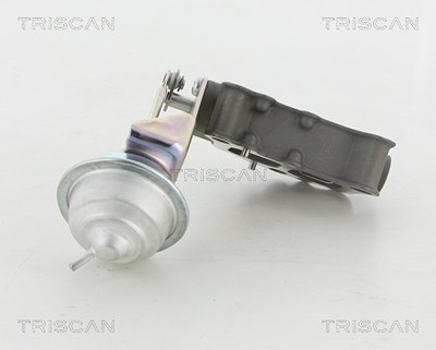 Triscan AGR-Ventil [Hersteller-Nr. 881313058] für Toyota von TRISCAN