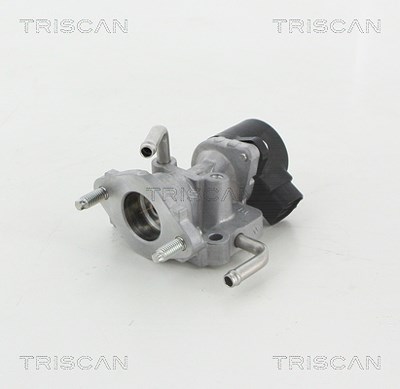 Triscan AGR-Ventil [Hersteller-Nr. 881313059] für Lexus, Toyota von TRISCAN