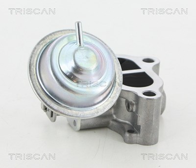 Triscan AGR-Ventil [Hersteller-Nr. 881313065] für Toyota von TRISCAN