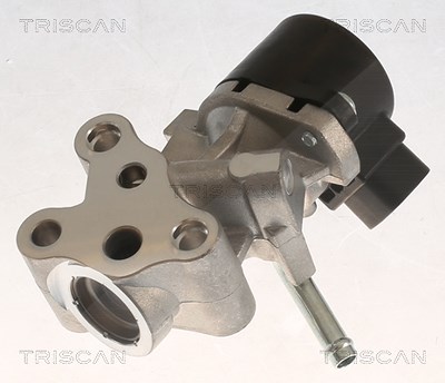 Triscan AGR-Ventil [Hersteller-Nr. 881313069] für Citroën, Peugeot, Toyota von TRISCAN