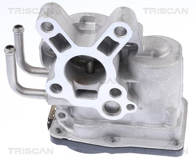 Triscan AGR-Ventil [Hersteller-Nr. 881314010] für Nissan von TRISCAN