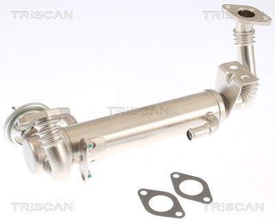 Triscan AGR-Ventil [Hersteller-Nr. 881315074] für Iveco von TRISCAN