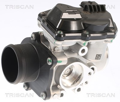 Triscan AGR-Ventil [Hersteller-Nr. 881316002] für Ford, Ford Usa von TRISCAN