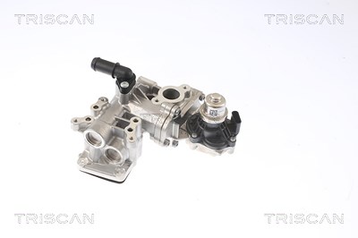 Triscan AGR-Ventil [Hersteller-Nr. 881316005] für Ford, Ford Usa von TRISCAN