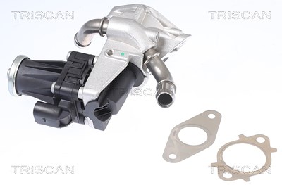 Triscan AGR-Ventil [Hersteller-Nr. 881316150] für Citroën, Ford, Land Rover, Peugeot von TRISCAN