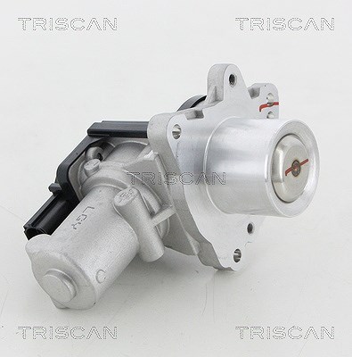 Triscan AGR-Ventil [Hersteller-Nr. 881318045] für Hyundai, Kia von TRISCAN