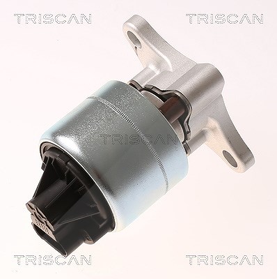 Triscan AGR-Ventil [Hersteller-Nr. 881321026] für Chevrolet, Gm Korea von TRISCAN