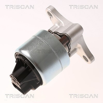 Triscan AGR-Ventil [Hersteller-Nr. 881321026] für Chevrolet, Daewoo von TRISCAN
