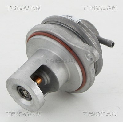 Triscan AGR-Ventil [Hersteller-Nr. 881323017] für Mercedes-Benz, Smart von TRISCAN