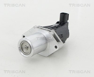 Triscan AGR-Ventil [Hersteller-Nr. 881324209] für Opel, Vauxhall von TRISCAN