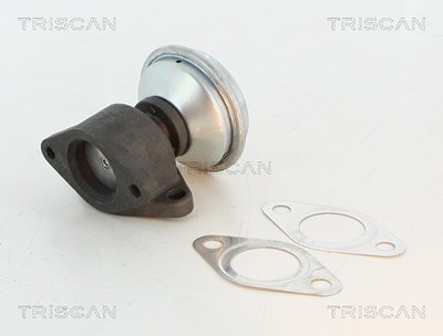 Triscan AGR-Ventil [Hersteller-Nr. 881327100] für Volvo von TRISCAN