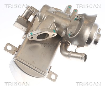 Triscan AGR-Ventil [Hersteller-Nr. 881329347] für Audi, Seat, Skoda, VW von TRISCAN