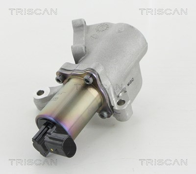 Triscan AGR-Ventil [Hersteller-Nr. 881344009] für Ssangyong von TRISCAN