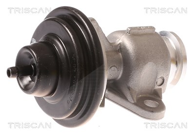 Triscan AGR-Ventil [Hersteller-Nr. 881344015] für Ssangyong von TRISCAN