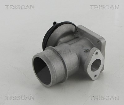 Triscan AGR-Ventil [Hersteller-Nr. 881344030] für Ssangyong von TRISCAN